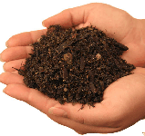 Soil.gif