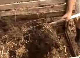 Turn Compost.jpg