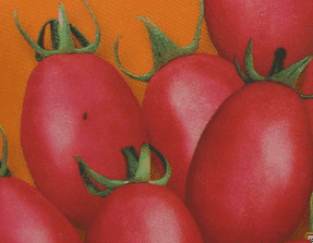 Sweet Grape Tomato